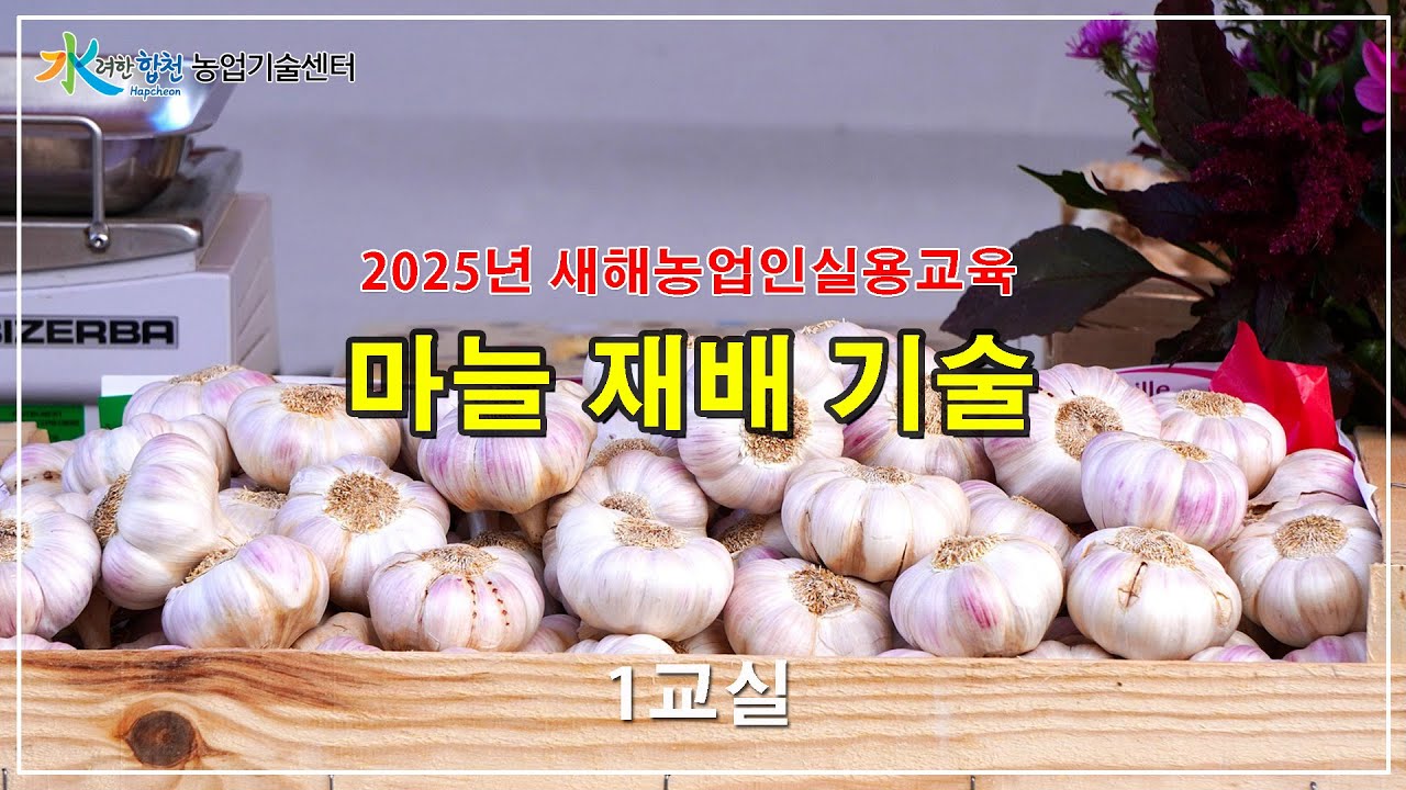 고품질 마늘 재배기술 1교실