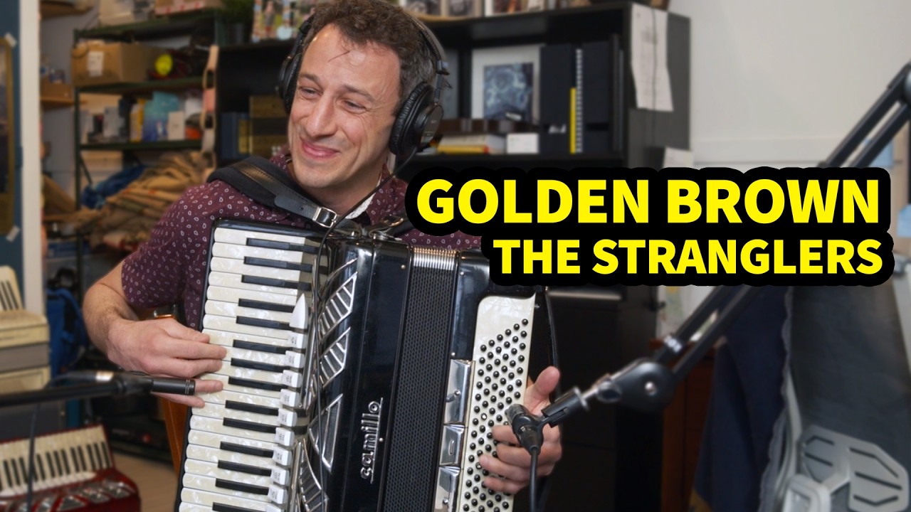 Golden Brown Accordion Performance (The Stranglers)