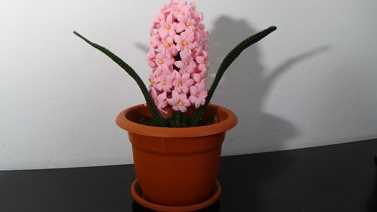 Zambila crosetata-floare-polen-frunza