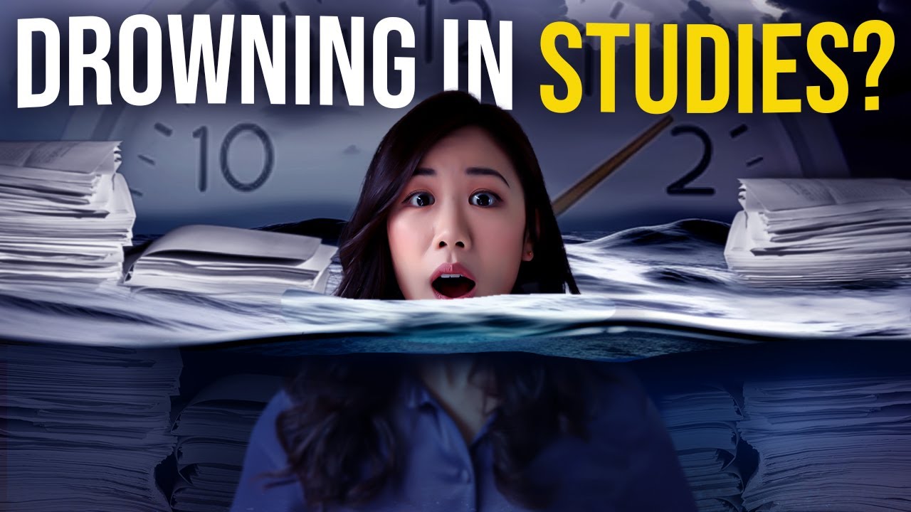 How to OPTIMISE Your Learning System to Achieve Long-Term SUCCESS