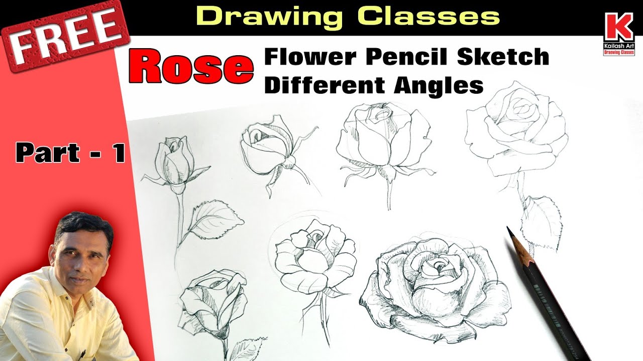 Rose Flower Pencil Sketch | Different Angles ll Part - 1