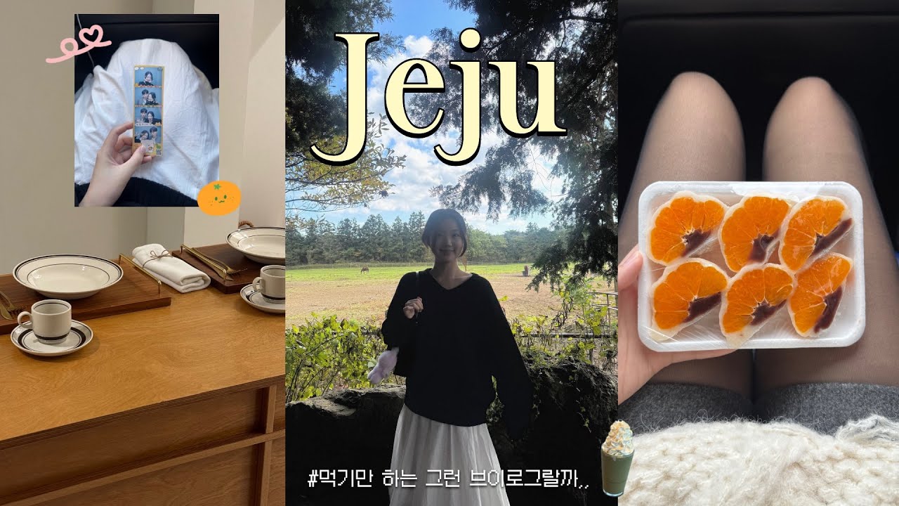 업로드는 늦었고 먹는 건 진심이었던 11월 제주 브이로그 🍊💛 | 수너베러•아베베•오셜록•샤이니숲길•이듬•제동목장•감귤체험•소금바치 순이네