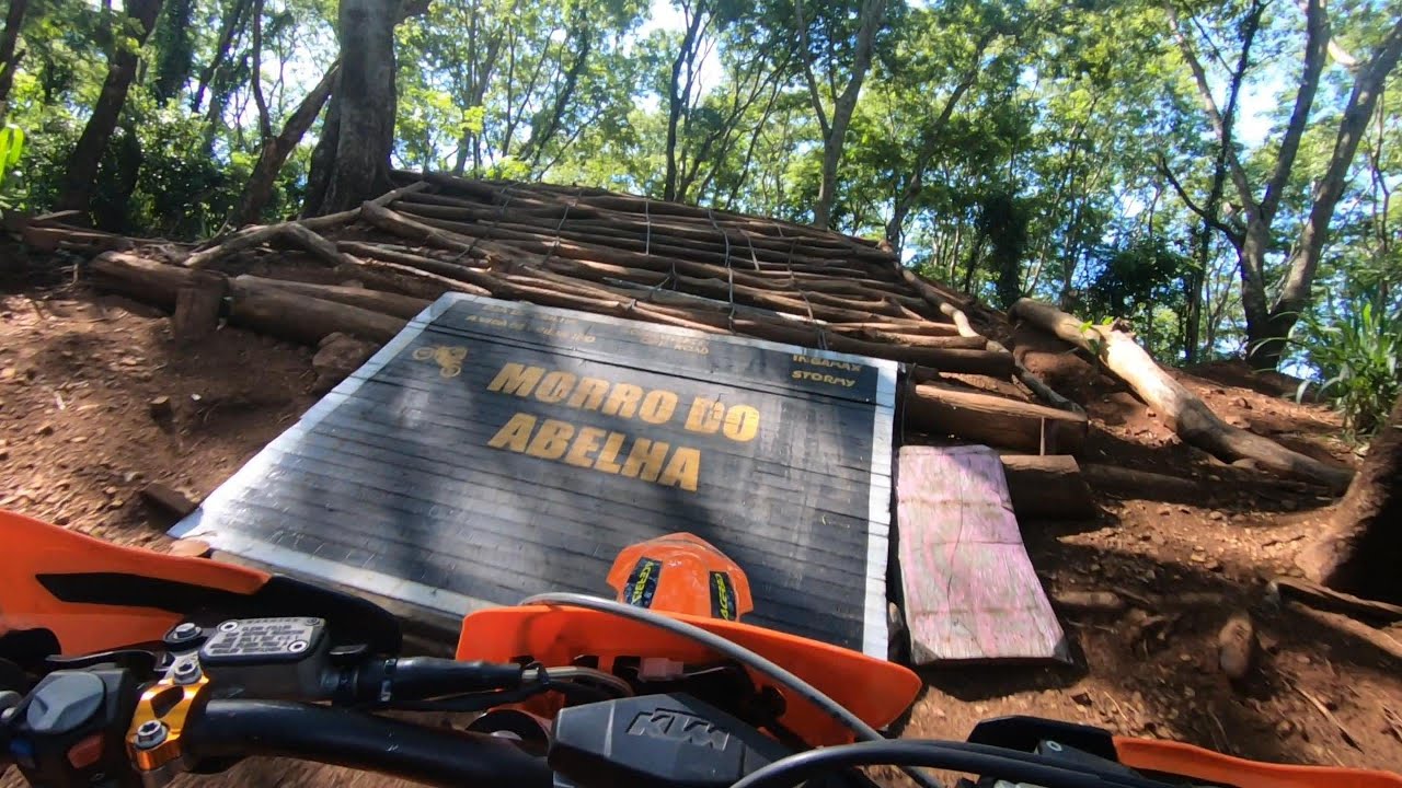 TRILHA DE FLORESTA PR