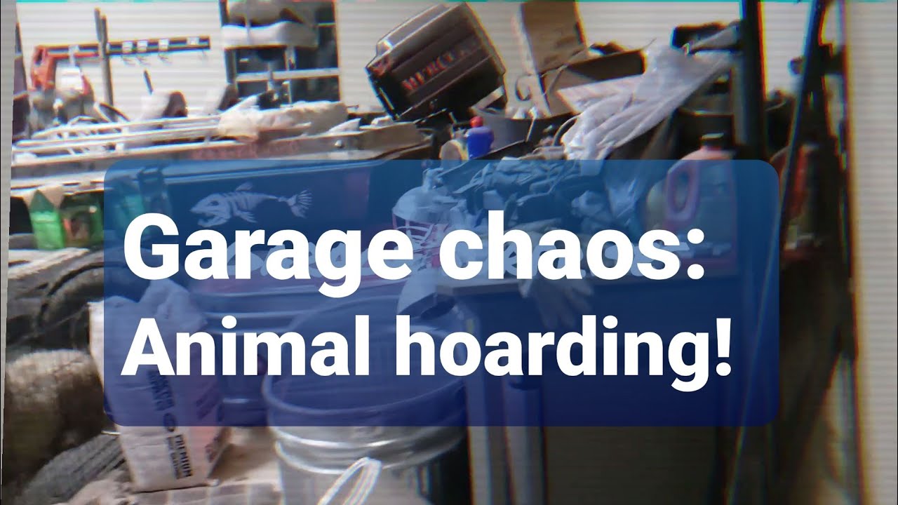 Animal hoarding