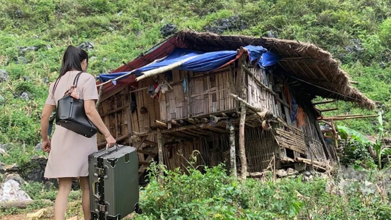 Female CEO Leaves City Life to Rebuild Old House and Heal in the Forest