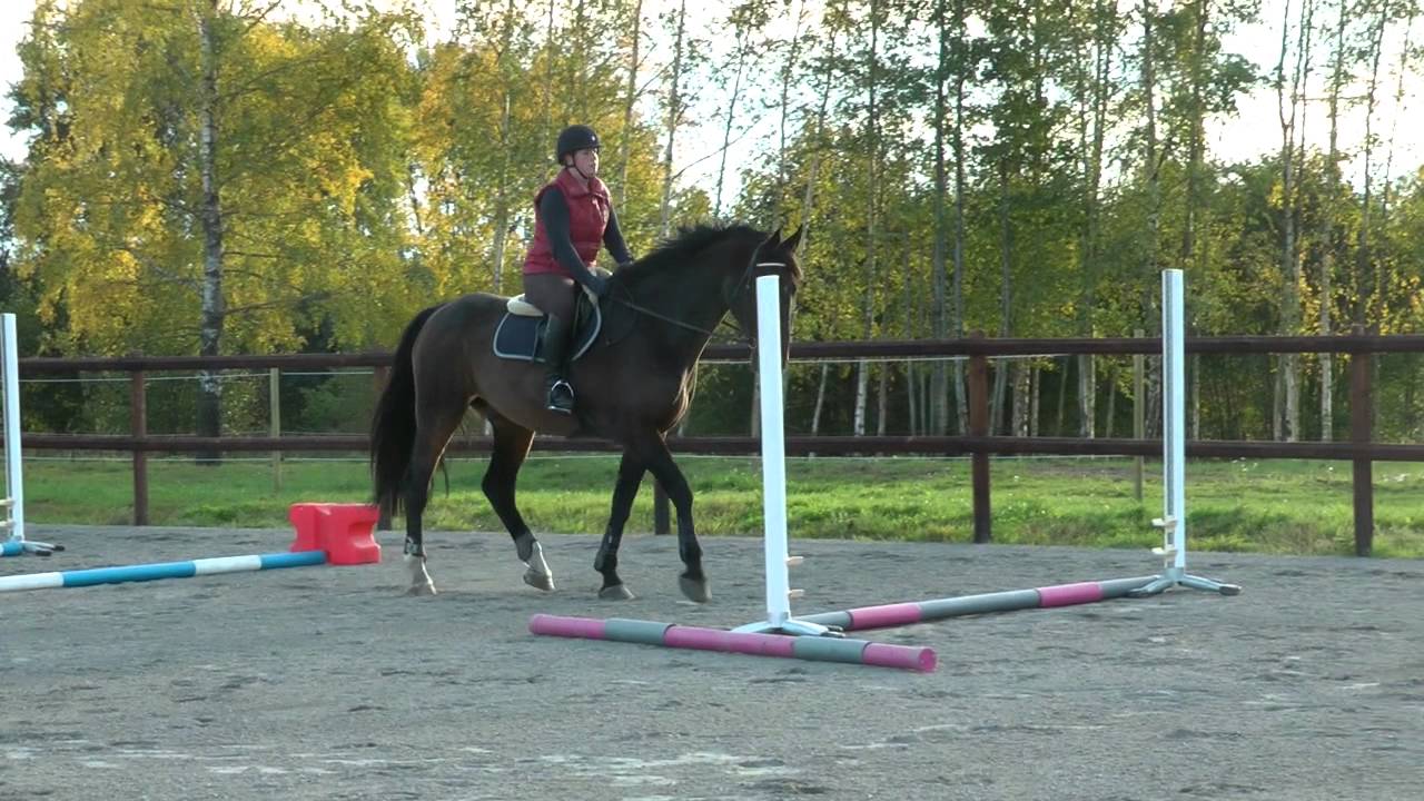 Gymnastikövning: elfstrands.se