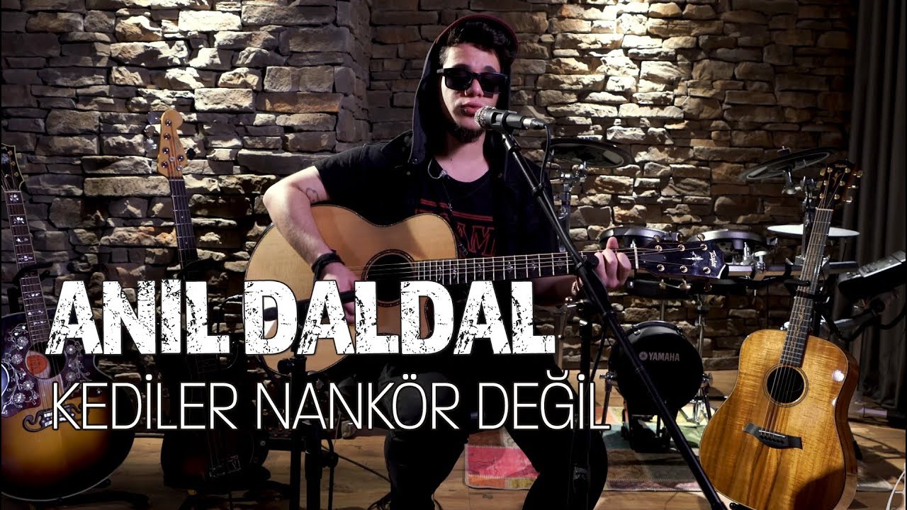 Anıl Daldal - Kediler Nankör Değil