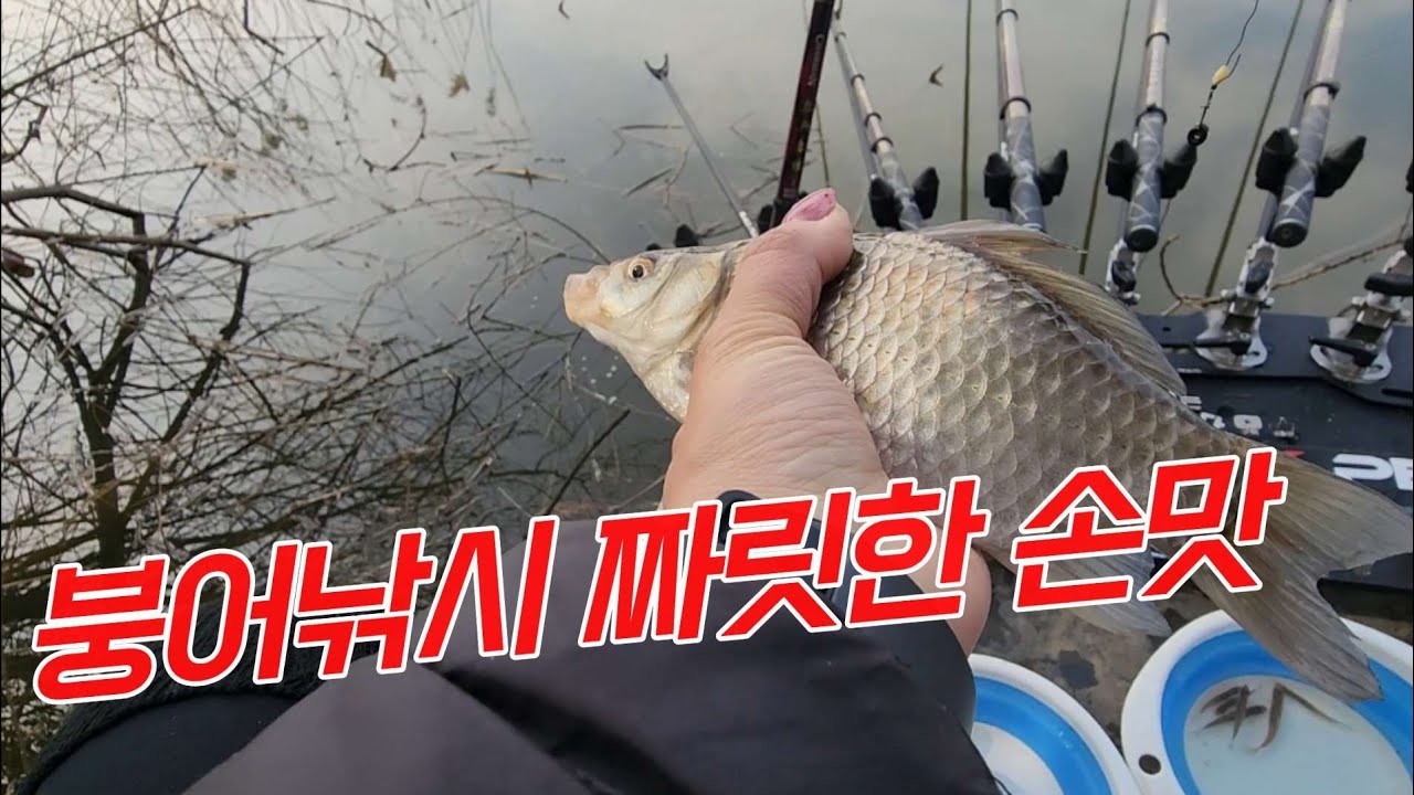 보령에서 짜릿한 손맛! 함께하시죠❤️ 낚시는안다다💜