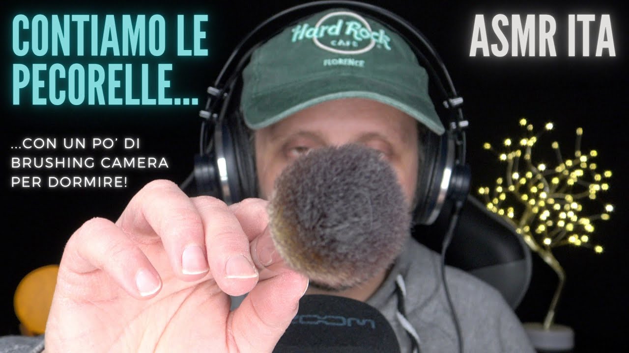 ASMR ITA | Contiamo le pecorelle e facciamo Brushing camera per DORMIRE | Countup ASMR 🖌️😴🐑
