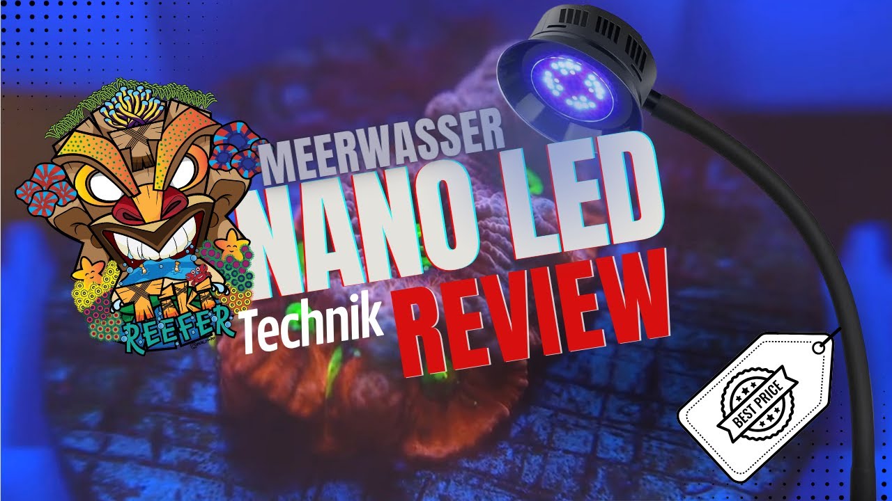 Best Budget LED Marine Aquarium Lights - Tested & Reviewed