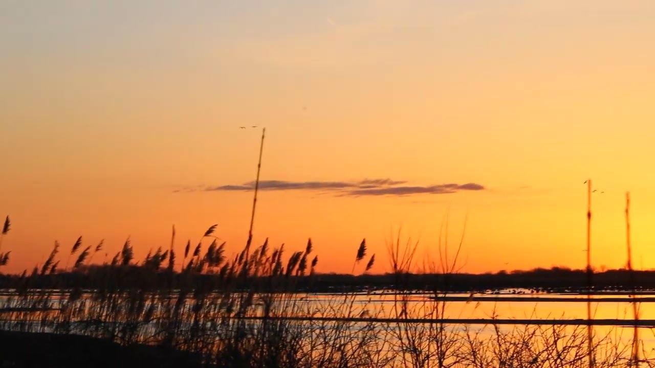 Platte River Sunrise