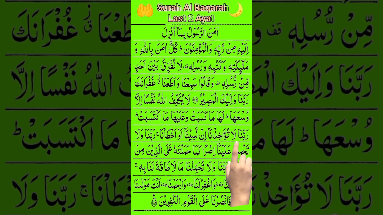 🛏️ Don&rsquo;t Sleep Without These 2 Powerful Verses #quran #qurantilawat #surahbaqarah