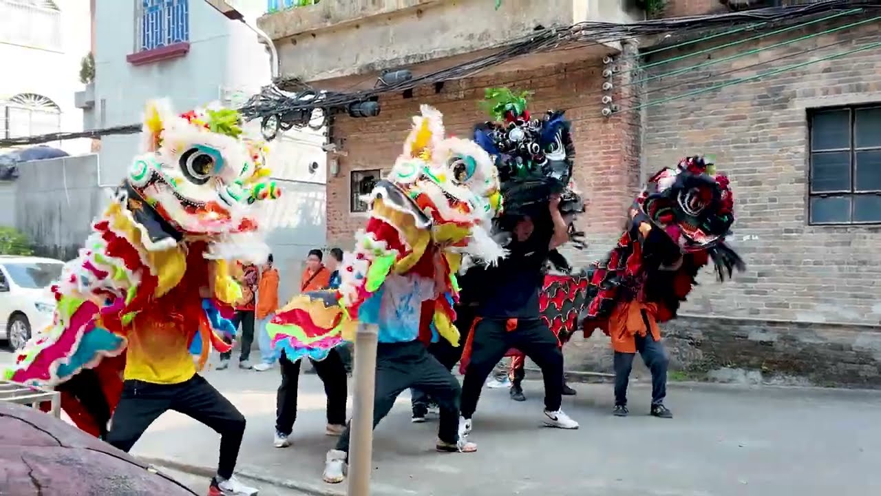 龙舟文化33周年纪念｜现场体验划龙舟