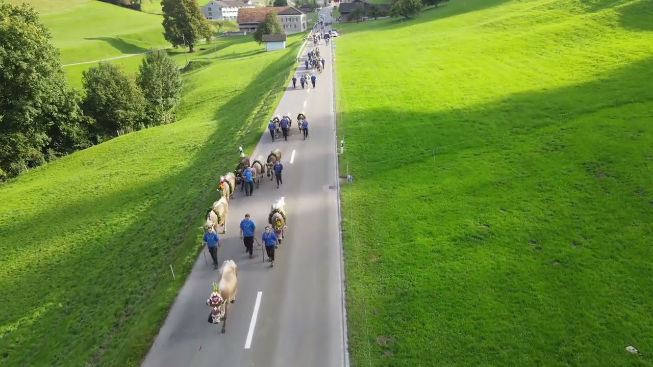 Viehschau 2021 Mosnang