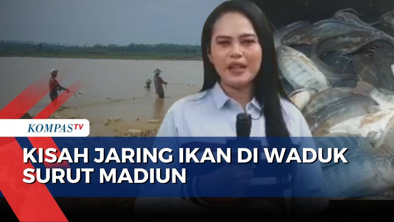 Puncak Kemarau di Madiun, Warga Jaring Ikan di Waduk Dawuhan | KOMPAS SIANG