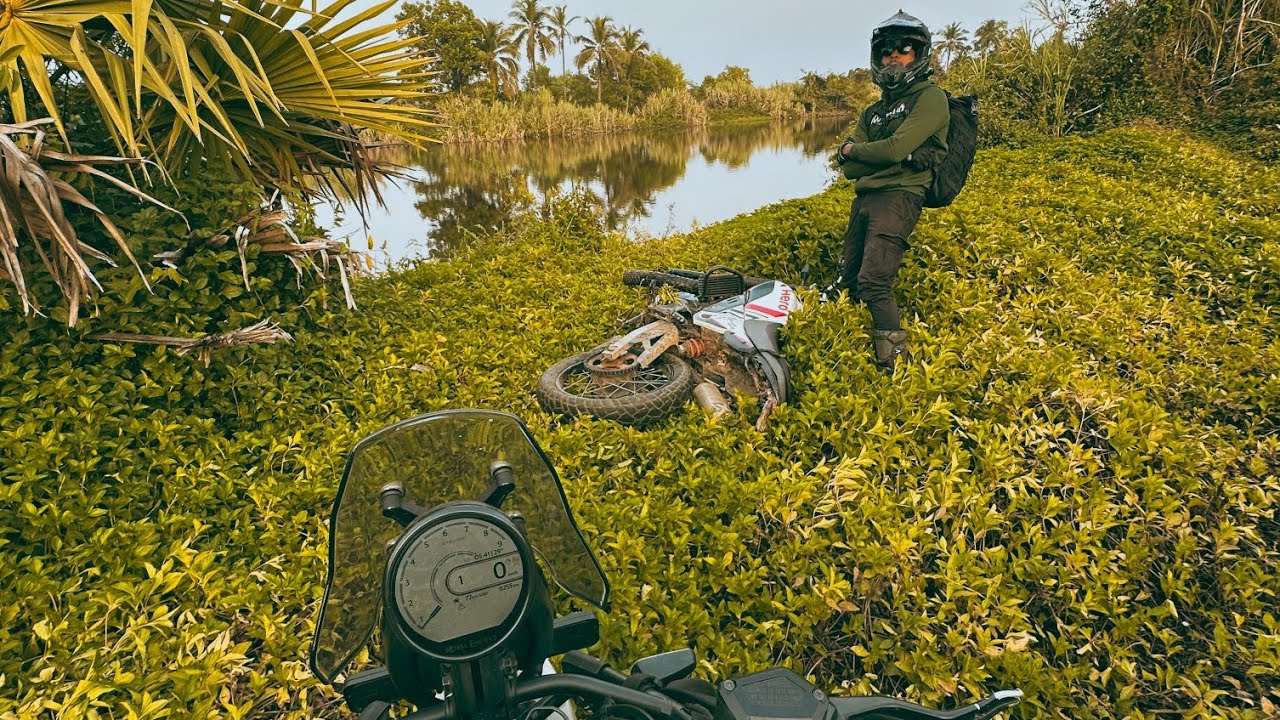 Bale Trails Poyi