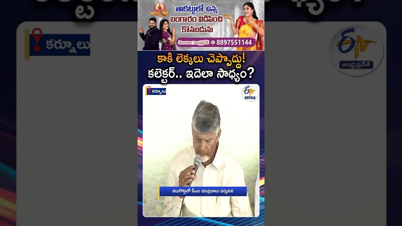 CM Chandrababu Naidu Serious On Collectors And Given Instructions To MLAs
