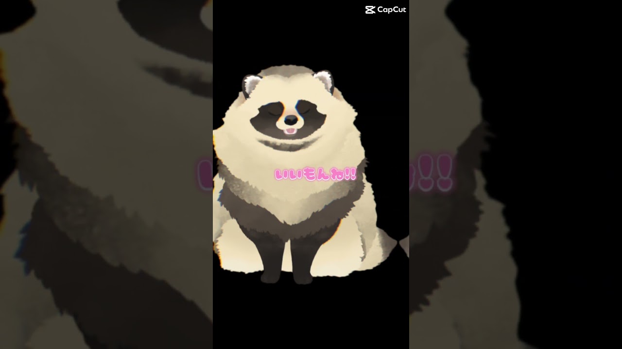 ▼ 野生の たぬきが あらわれた！ #vtuberお探しですか #vtuber準備中 #vtuber準備中最古参になってください #たぬき #vtuber