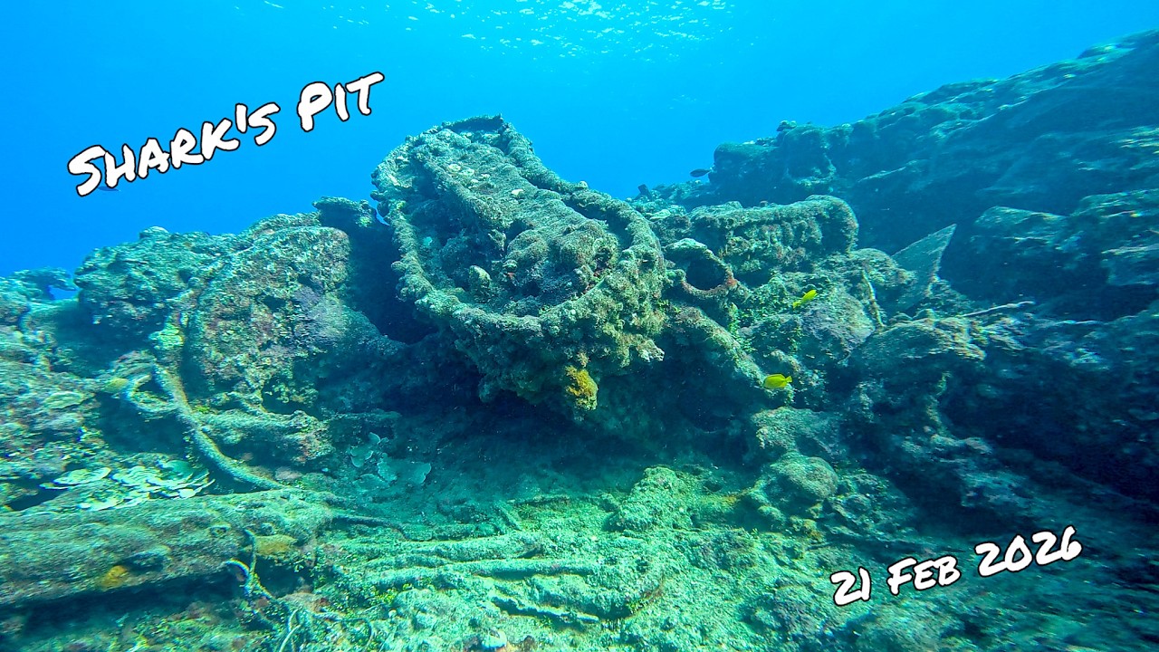 Shark's Pit (21 Feb 2026)