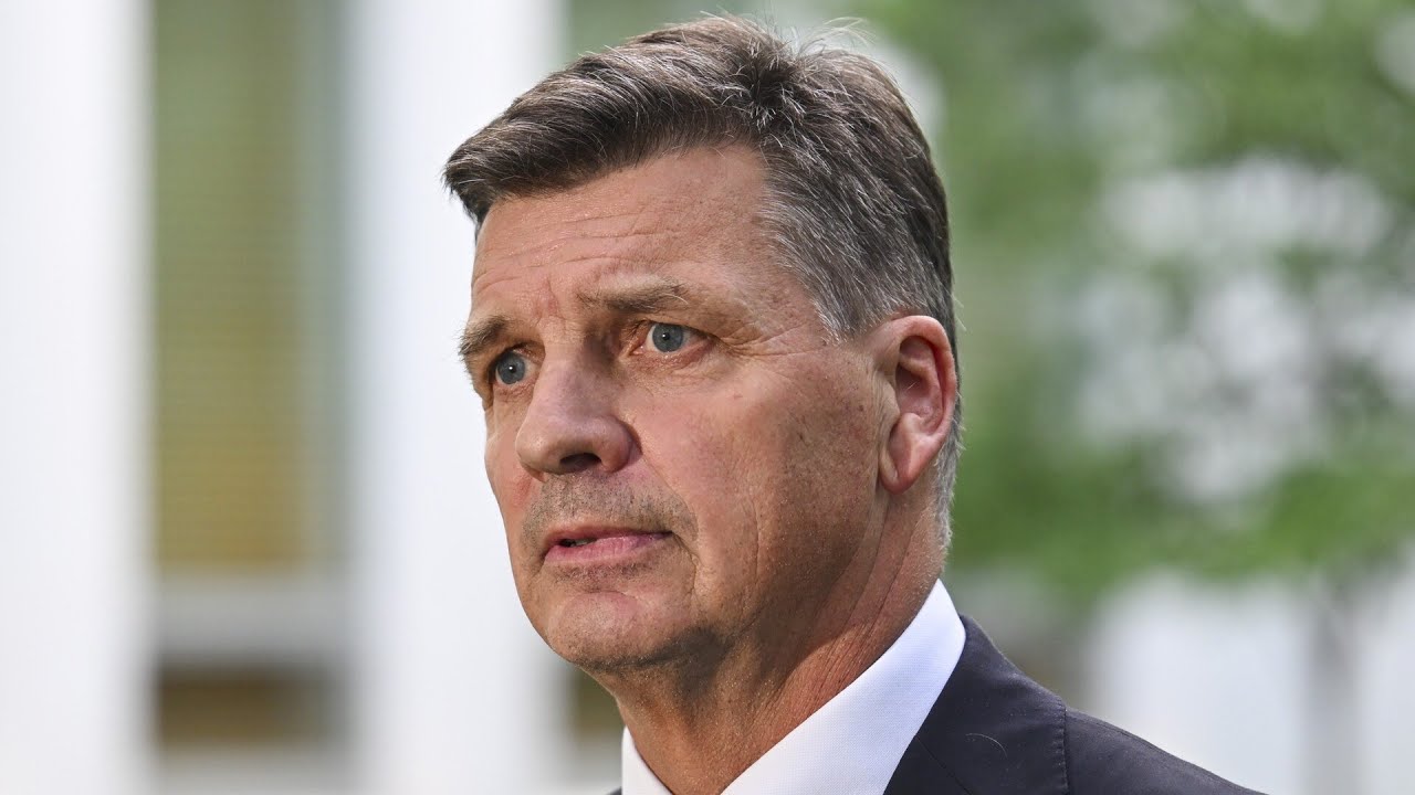 Angus Taylor ‘will be successful’ in the leadership ballot: Sarah Henderson