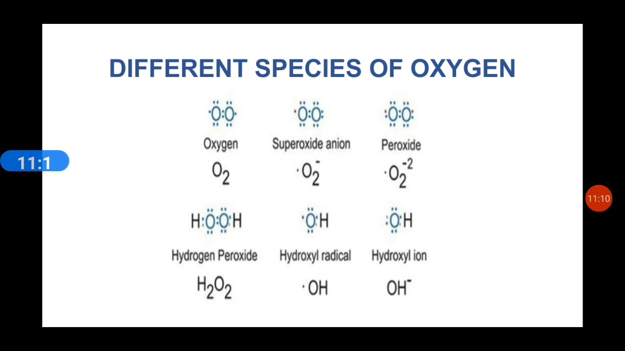 The p - Block elements (Group 16)