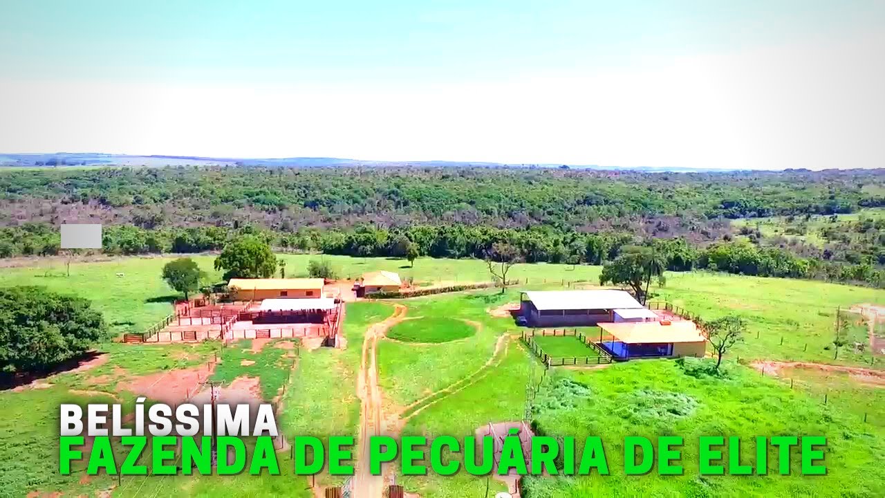 BELÍSSIMA FAZENDA A VENDA NO TRIÂNGULO MINEIRO | AGROPECUÁRIA MG