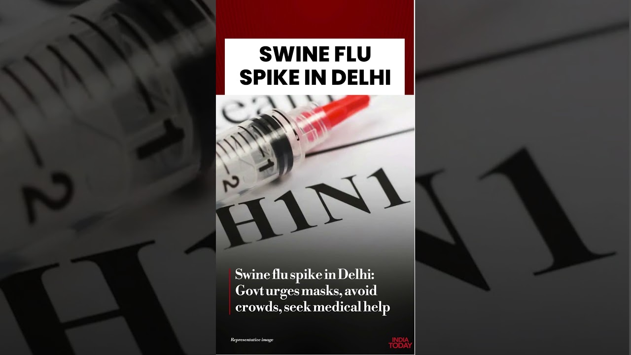 Delhi On H1N1 Alert: Over 1,777 Cases Reported, 35 Hospitals Under Surveillance #shortsviral