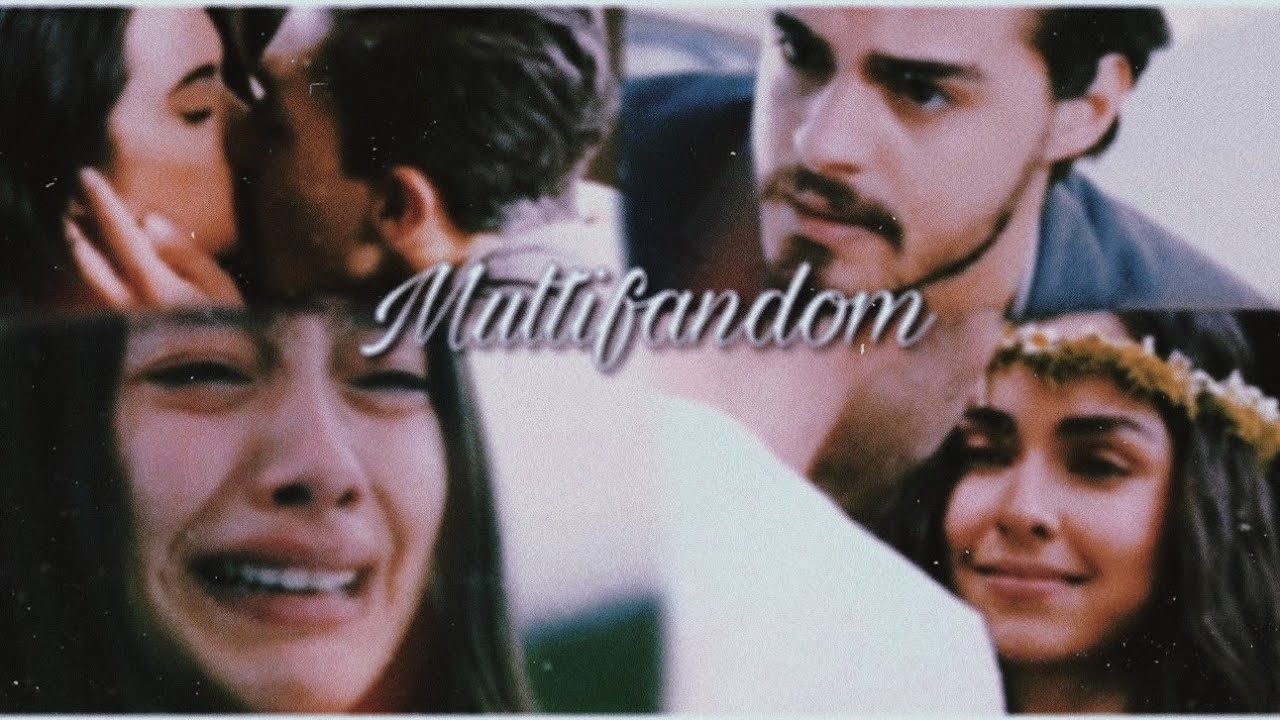 ●Multifandom 》 Shallow●