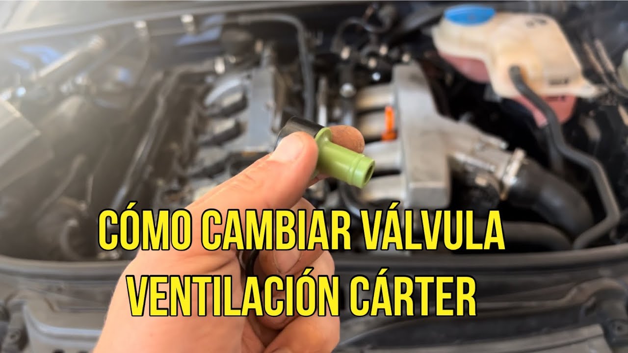 Cómo cambiar válvula ventilación cárter Audi a4 1.8 20vt