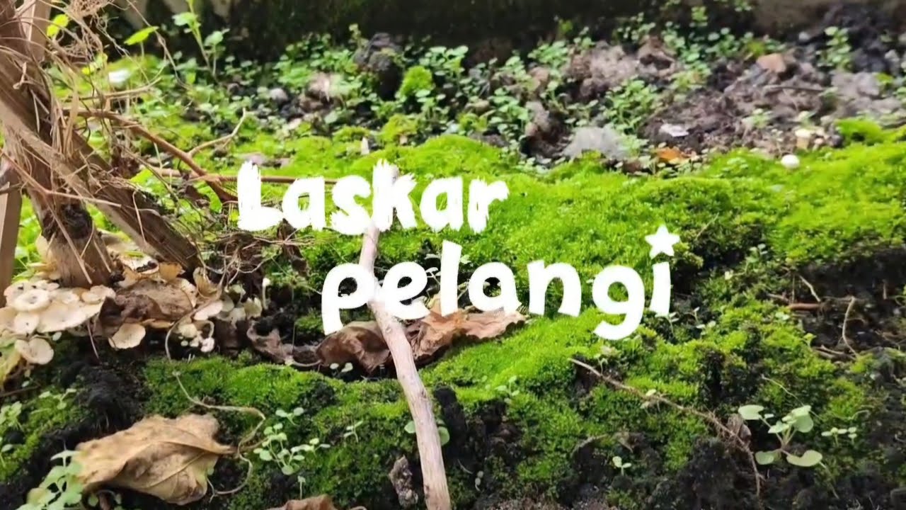 Laskar Pelangi 