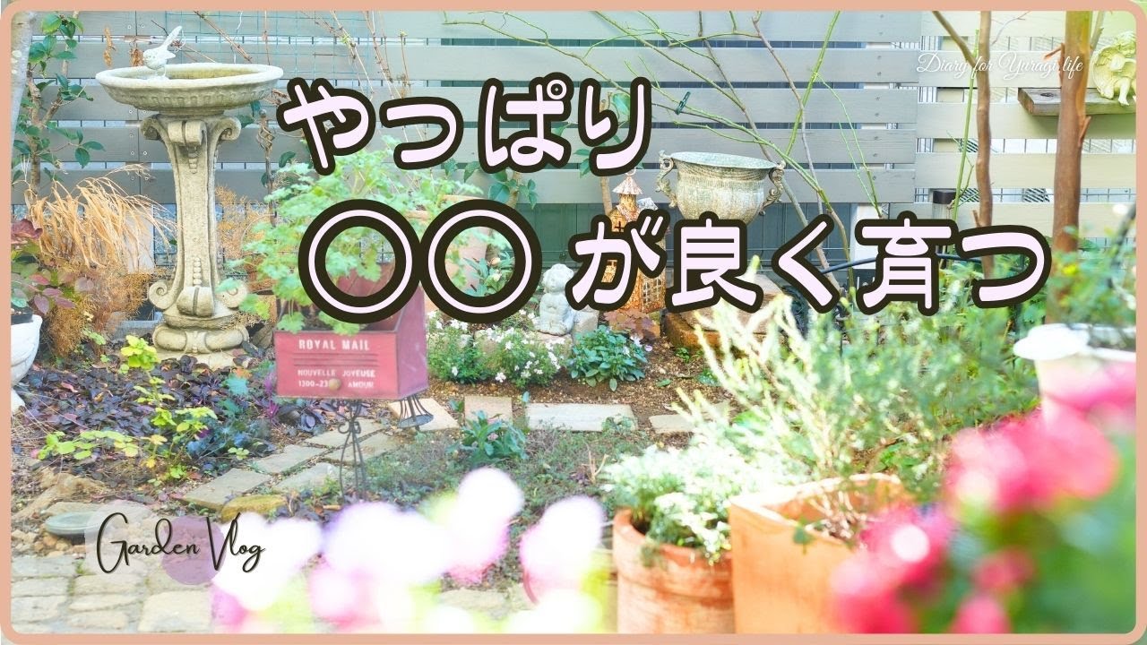 春の花数を増やしたい！植物を元気に育てたい！