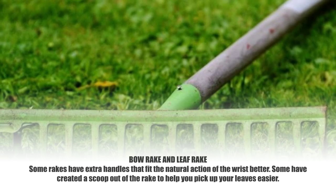 Best Gardening Tools For Seniors