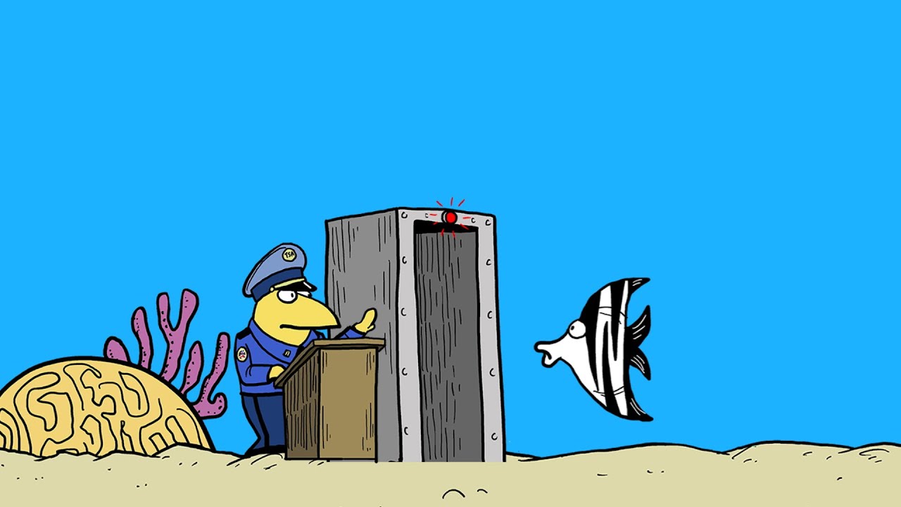 What Are Ocean Zones? | A Cartoon Crash Course