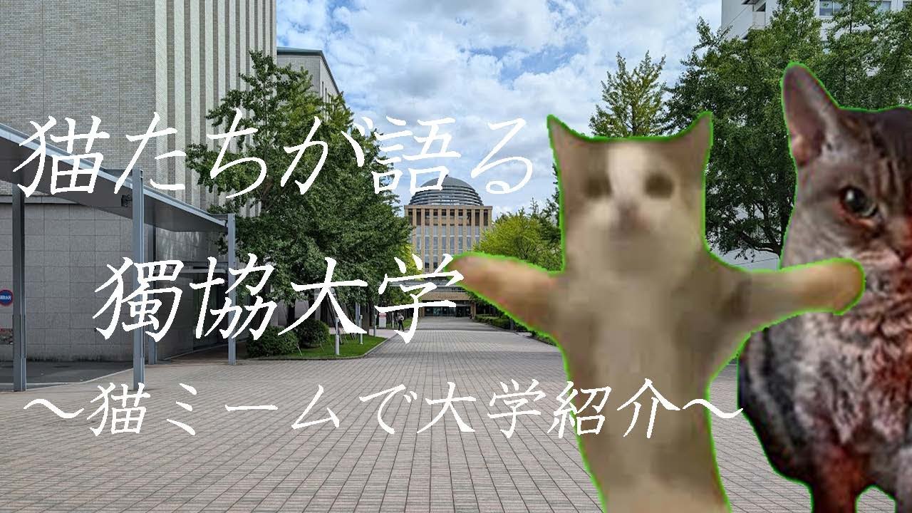 猫ミームで獨協大学の紹介してみた!