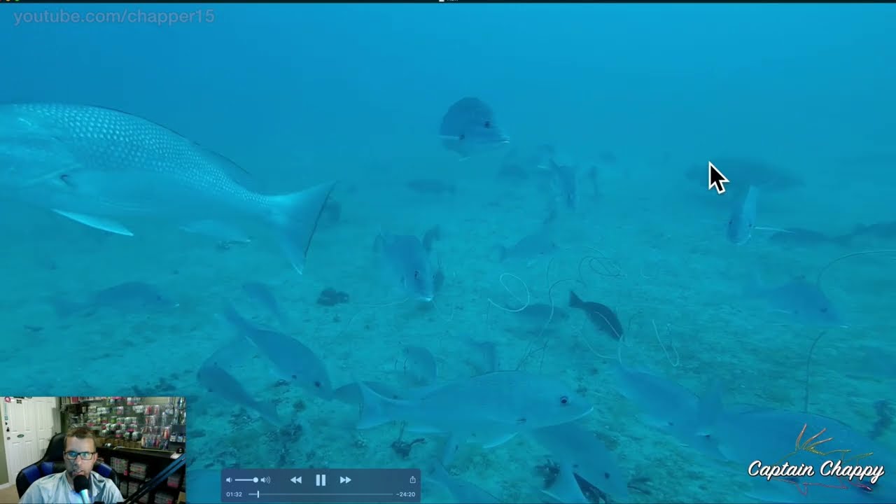In depth targeting big red snapper offshore in the Gulf of Mexico explanation and underwater