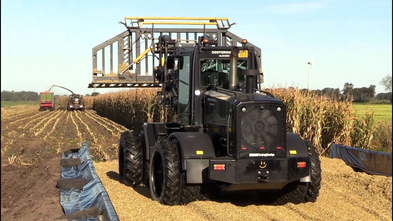Maïs 2025 | NH FR 650 60th Anniversary Edition | Ljungby L11 Black Edition | Case IH | Corn harvest