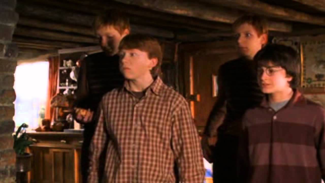 Harry and Ron - Oath