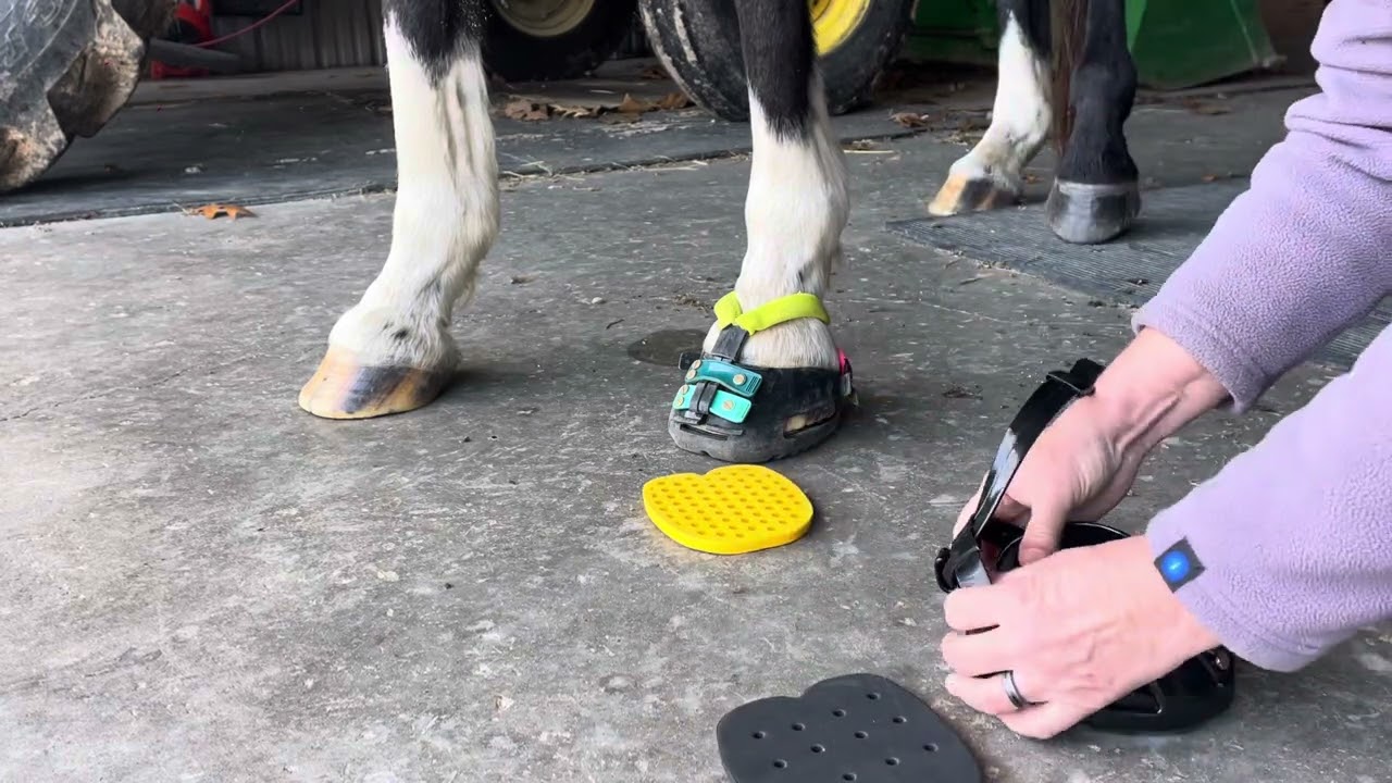 Scoot Boot Thera Ride and Pads
