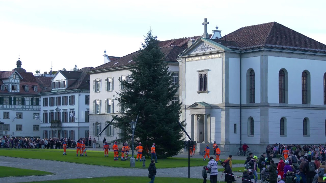 Anflug des Christbaums 2025 auf dem Klosterplatz