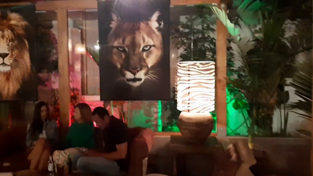 Opening Alma Beach Club