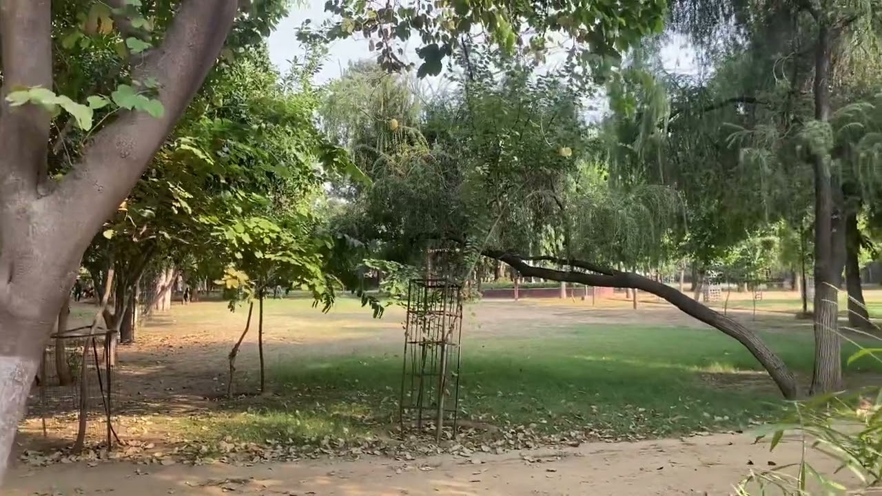 Kothi & Plot for sale in DLF Phase-1,Sizes 109 -150 sqyd ,Gurgaon 8178444828