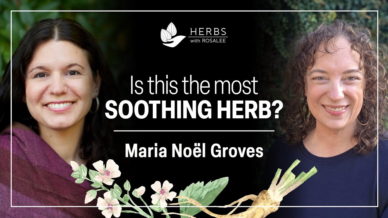 Marshmallow for Gut, Throat, and Tissue Support with Maria Noël Groves