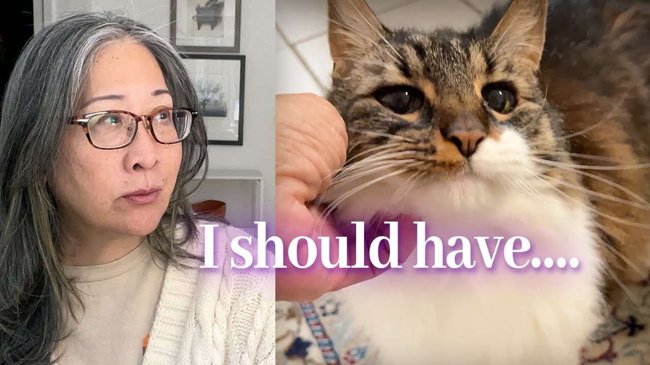 Grief over pet loss: how to cope and deal with guilt
