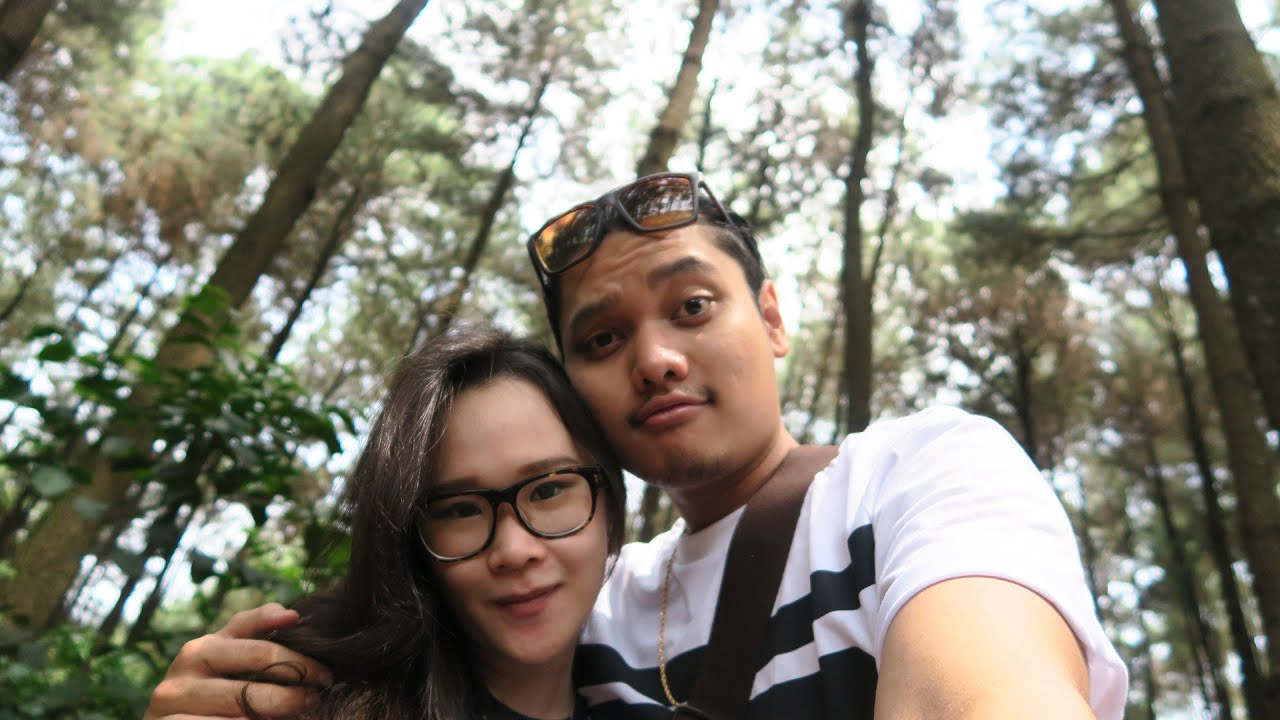 MOJOK DI HUTAN..