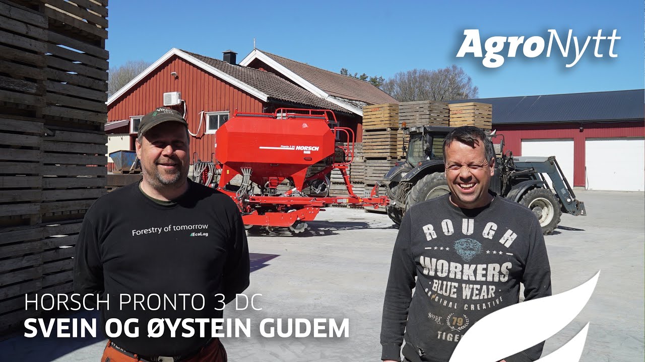 HORSCH Pronto 3 DC | Svein og Øystein Gudem