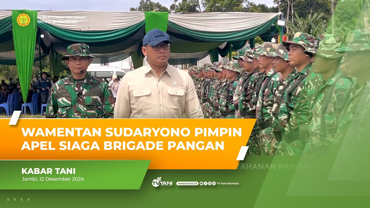 Tidak Hanya Juara Sawit, Wamentan Sudaryono Ingin Jambi Juara Beras