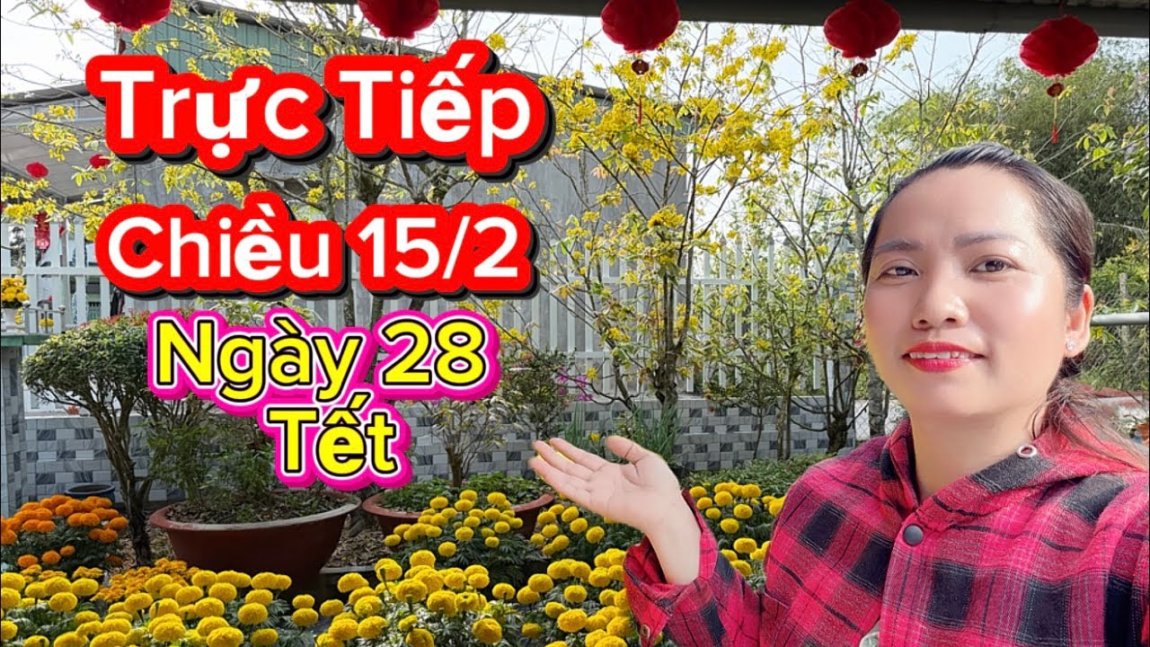 Mỵ vlog đang phát trực tiếp! Chiều 15/2 Ngày 28 Tết Miền Tây.#mỵvlog