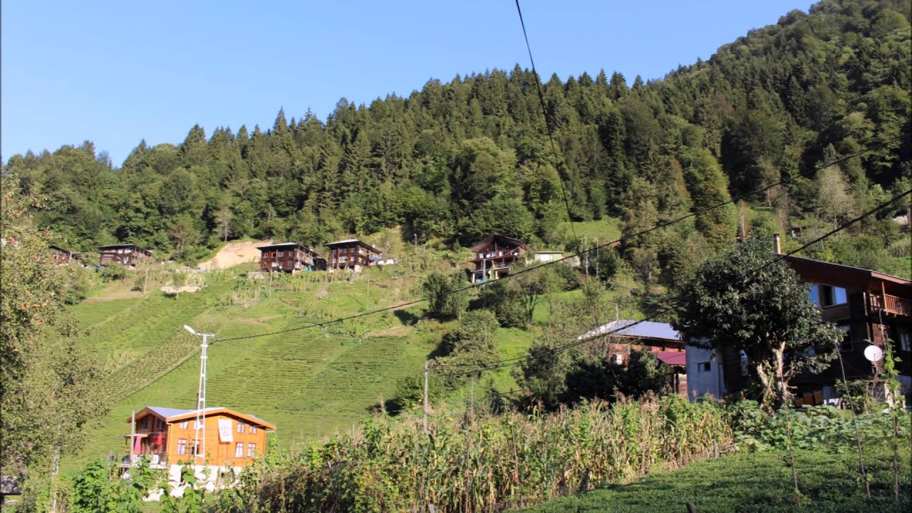 Yeşiltepe Köyü / Çayeli / Rize