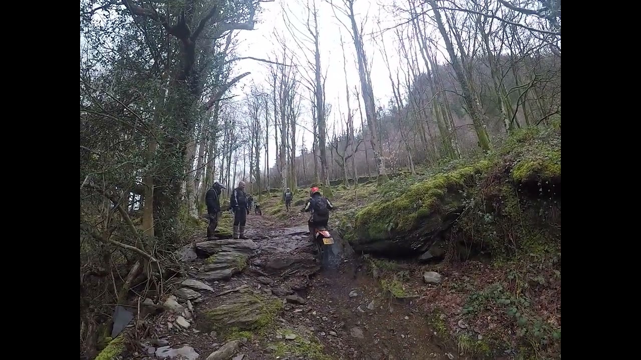 IAN MORGAN CONWY VALLEY , THE RAILWAY BRIDGE