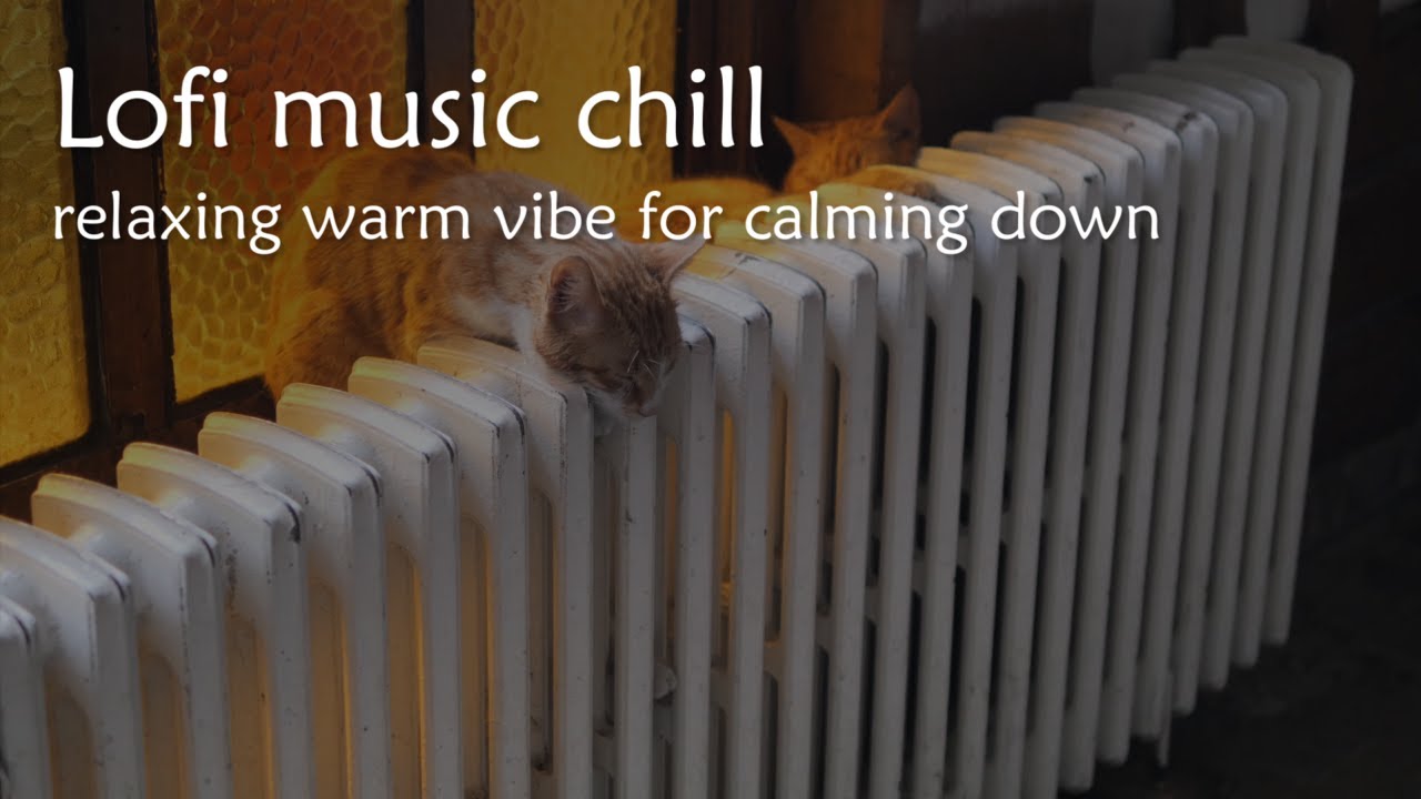 Lofi background music | Lofi beats to study to | NO ADS